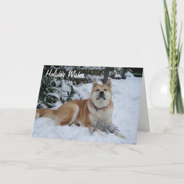 beautiful  akita dog resting in the snow christmas holiday card (Front)