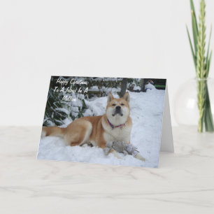 beautiful akita dog resting in the snow friend holiday card