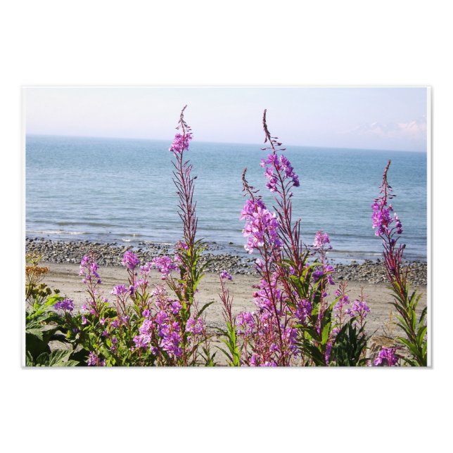 Beautiful Alaskan Scenery Photo Print (Front)