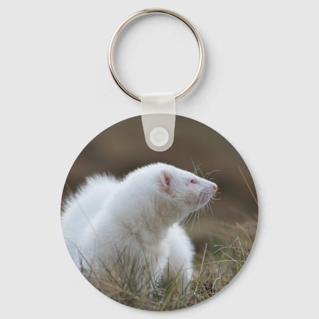 Beautiful Albino Ferret Key Ring (Front)