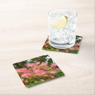 Beautiful Albizia tree in flowers Square Paper Coaster