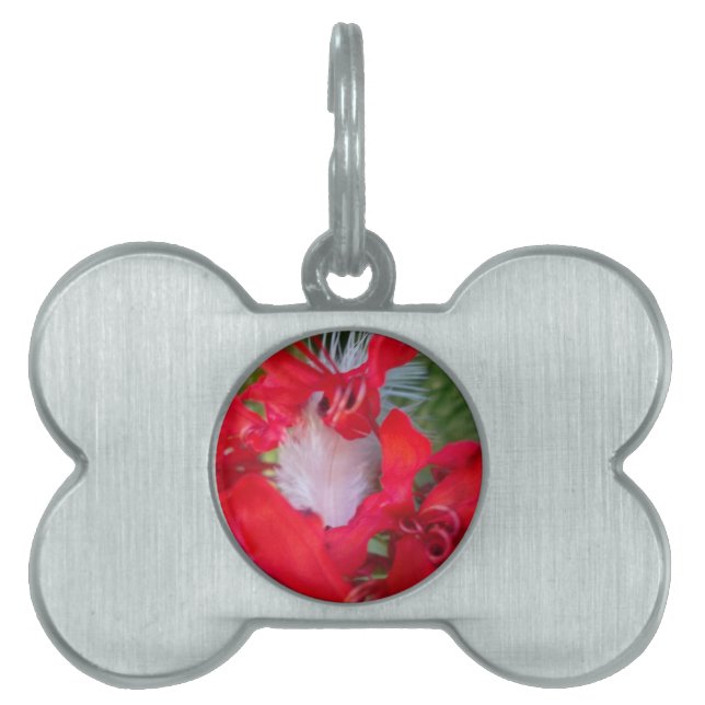 Beautiful Alien Crimson.jpg Pet Name Tag (Front)
