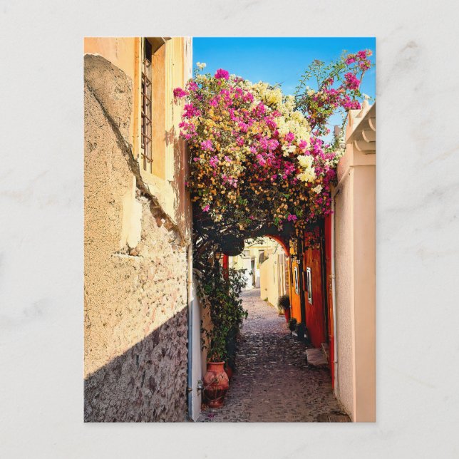 Beautiful Alleyway in Santorini, Greece Holiday Postcard (Front)
