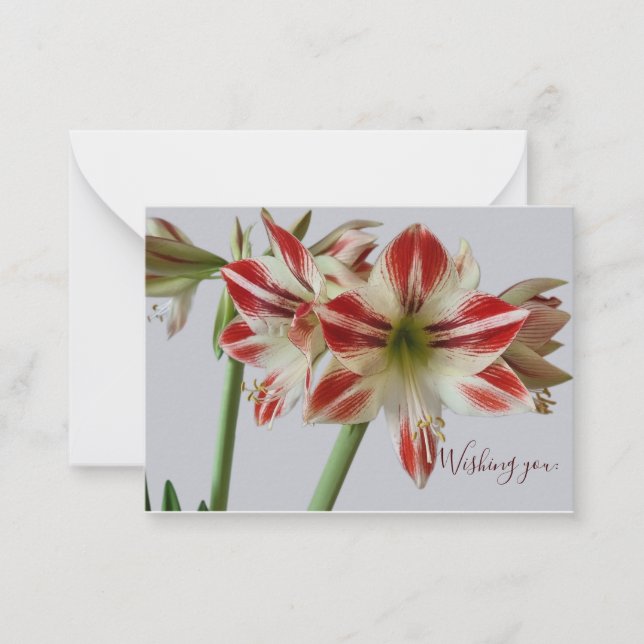 Beautiful Amaryllis flower & custum text birthday Card (Front)