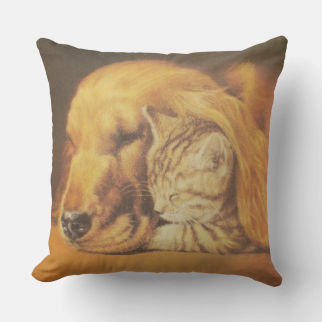 Beautiful Amazing Cat and Dog Cuddling Art Print Cushion (Front)