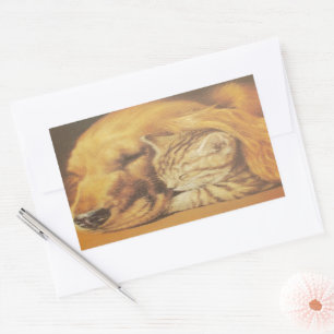 Beautiful Amazing Cat and Dog Cuddling Art Print Rectangular Sticker