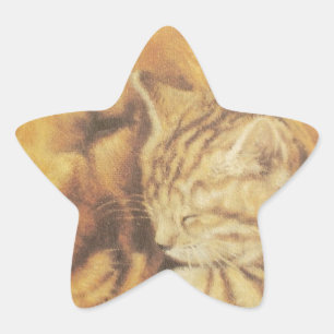 Beautiful Amazing Cat and Dog Cuddling Art Print Star Sticker