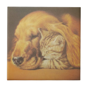 Beautiful Amazing Cat and Dog Cuddling Art Print Tile