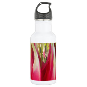 Beautiful amazing customisable Trendy Art Design  532 Ml Water Bottle
