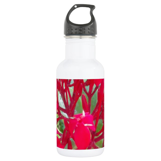 Beautiful amazing customisable Trendy Art Design  532 Ml Water Bottle (Front)