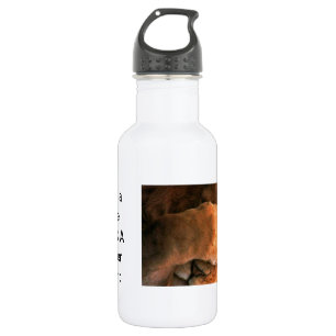 Beautiful amazing customisable Trendy Art Design 532 Ml Water Bottle
