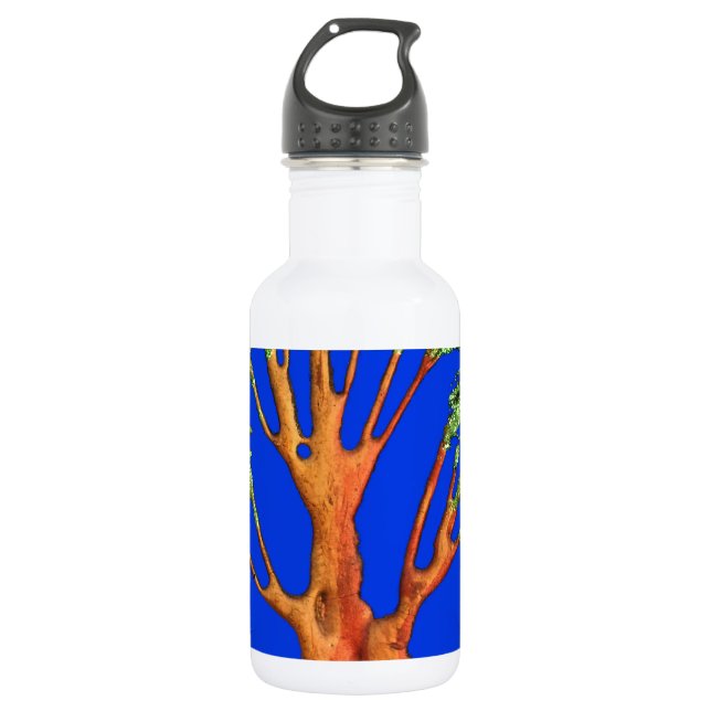 Beautiful amazing customisable Trendy Art Design  532 Ml Water Bottle (Front)