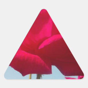 Beautiful Amazing Hakuna Matata Rose For the Bride Triangle Sticker