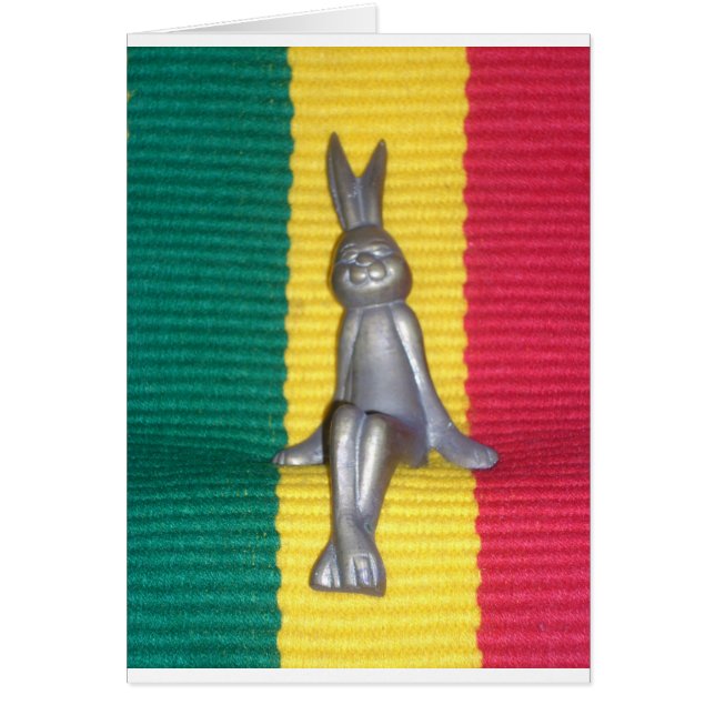 Beautiful amazing Rabbit Kingston Jamaica  (Front)