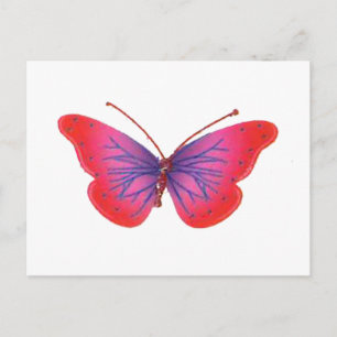Beautiful Amazing red pink and purple butterfly Postcard