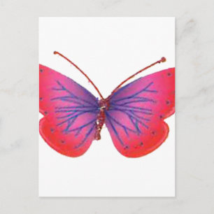 Beautiful Amazing red pink and purple butterfly Postcard
