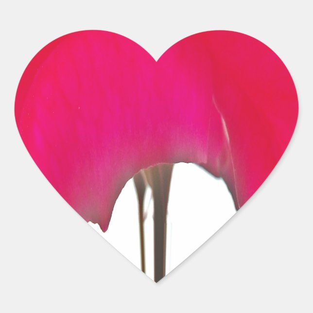 Beautiful amazing Red rose design Heart Sticker (Front)