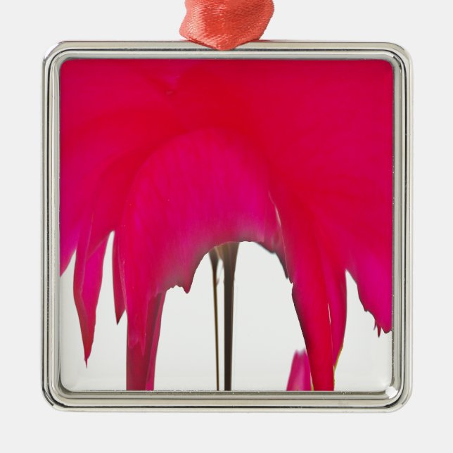 Beautiful amazing Red rose under the white sky Metal Tree Decoration (Front)