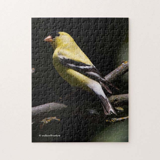 Beautiful American Goldfinch Jigsaw Puzzle (Vertical)
