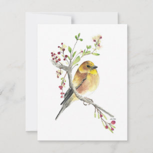 Beautiful American Goldfinch Songbird Note Card