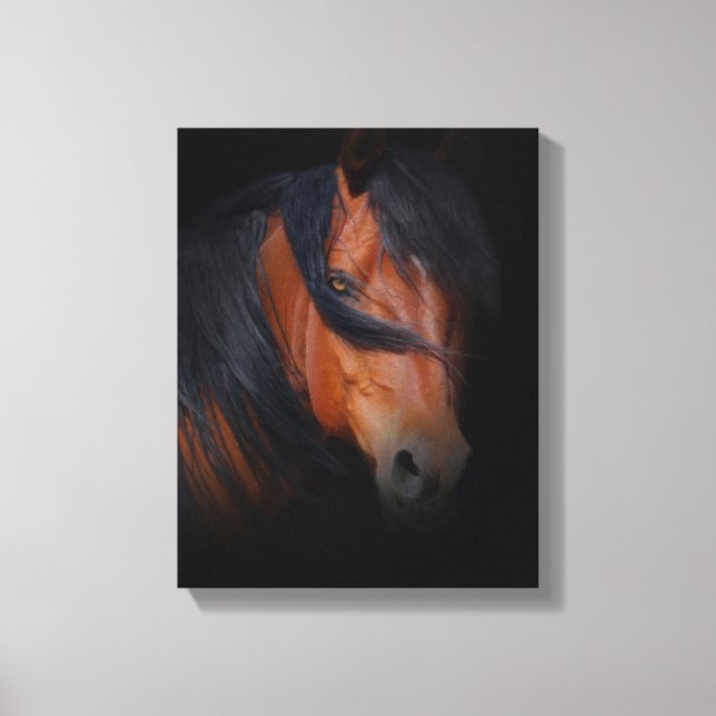 Beautiful and Dramatic Horse Art on Canvas (Front)