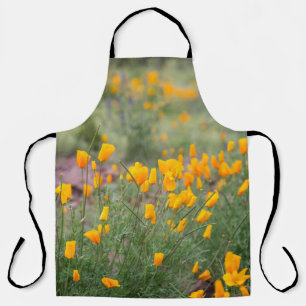 beautiful and fragrant wildflowers growing in tucs apron