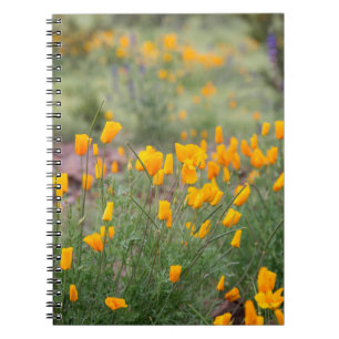 beautiful and fragrant wildflowers growing in tucs notebook