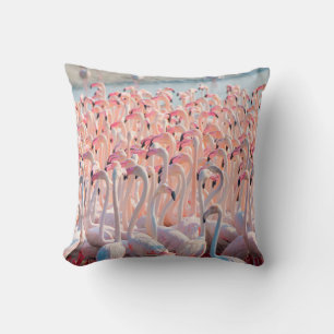 Beautiful and Wild - Flamingosflock,greater,pink,d Cushion