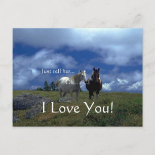 Beautiful Animal Cards