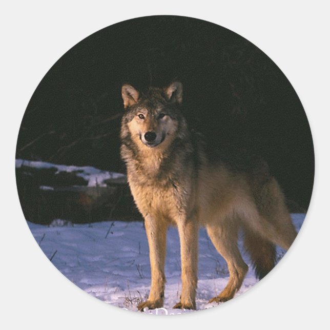 beautiful animals of the wild classic round sticker (Front)