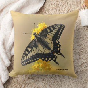 Beautiful Anise Swallowtail Butterfly in the Sun Cushion