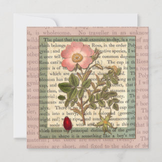 Beautiful Antique Rose Garden Party Vintage Invitation