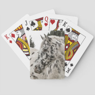 Beautiful Appaloosa Horse, Western Playing Cards