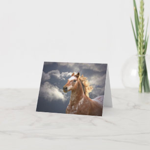 Beautiful Appaloosa Note Card