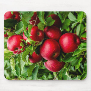 Beautiful Apples Waiting to be Picked! Mouse Mat
