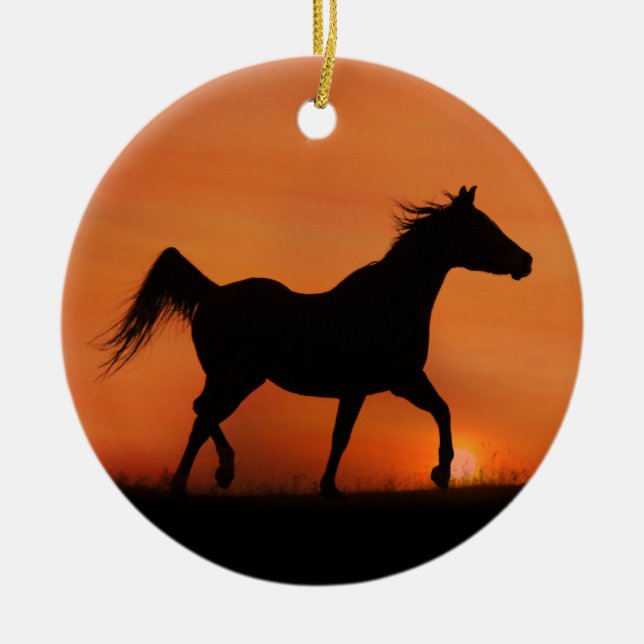 Beautiful Arabian Horse Ornament (Front)