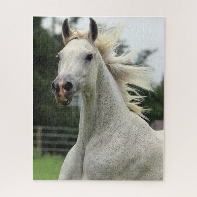 Beautiful Arabian Horse Puzzle (Vertical)