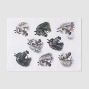 Beautiful Arabian Horses with Fancy Bridles Tissue Paper