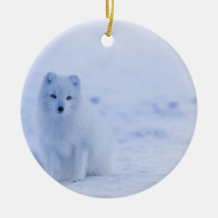 Beautiful Arctic Fox Ceramic Tree Decoration