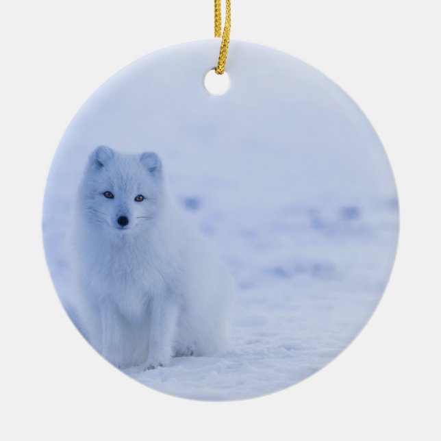 Beautiful Arctic Fox Ceramic Tree Decoration (Front)