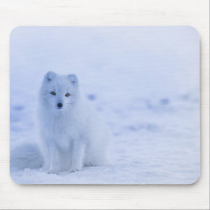 Beautiful Arctic Fox Mouse Mat