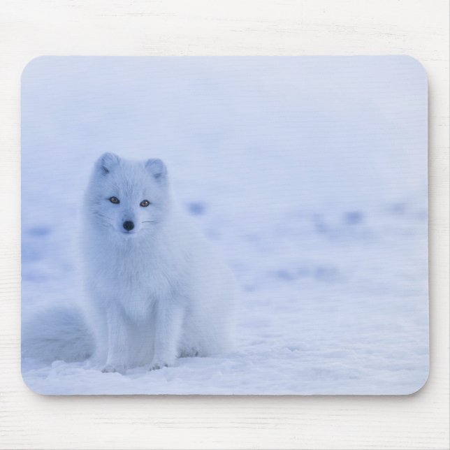 Beautiful Arctic Fox Mouse Mat (Front)