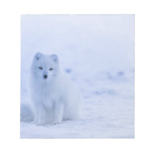 Beautiful Arctic Fox Notepad