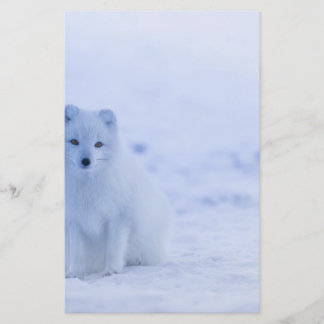Beautiful Arctic Fox Stationery