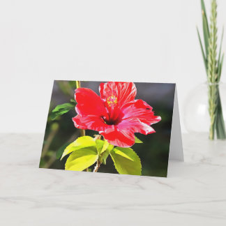 Beautiful Artistic Red Tropical Hibiscus Flower Card