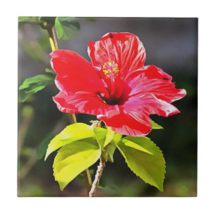 Beautiful Artistic Red Tropical Hibiscus Flower Tile