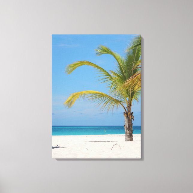 Beautiful Aruba Canvas Print (Front)