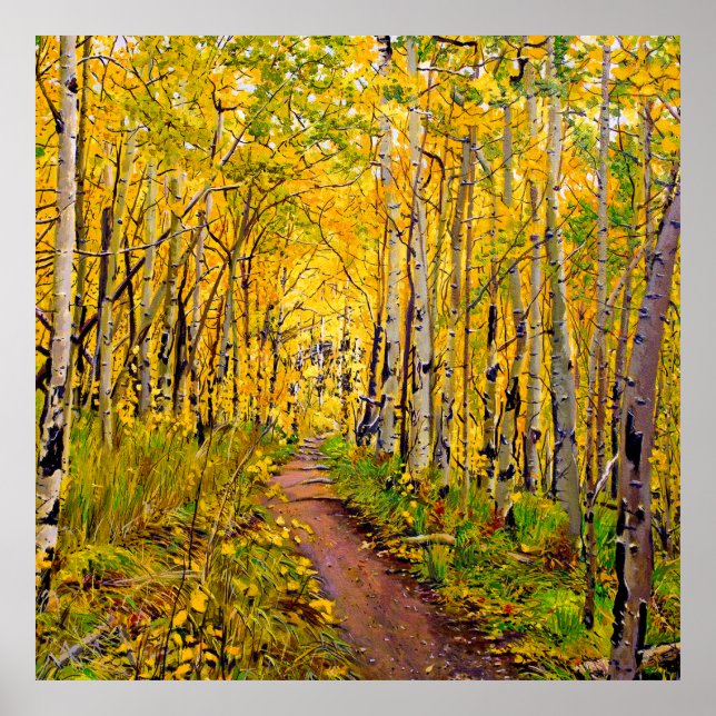 Beautiful Aspen Trees in Autumn Splendour Poster (Front)