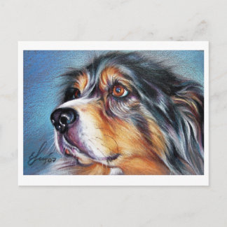 Beautiful Aussie Postcard