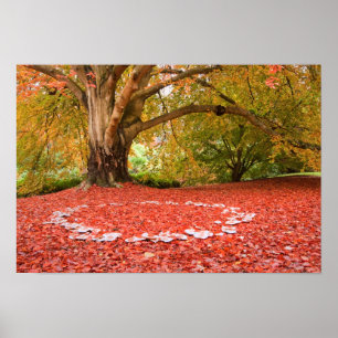 Beautiful Autumn Fall Nature Fairy Ring Poster
